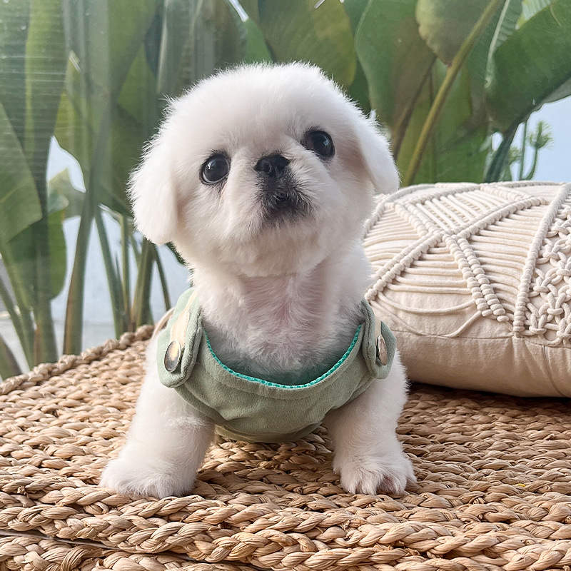 犬 ハーネス しなやかリボンハーネス