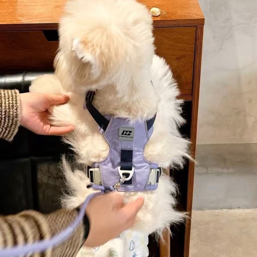 https://fulmo-img-server.com/wonderfulharness/ff6ac02e-6820-490c-8695-4faec7f73b10.jpg