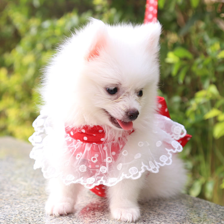 犬 ハーネス フリルレースおしゃれハーネス