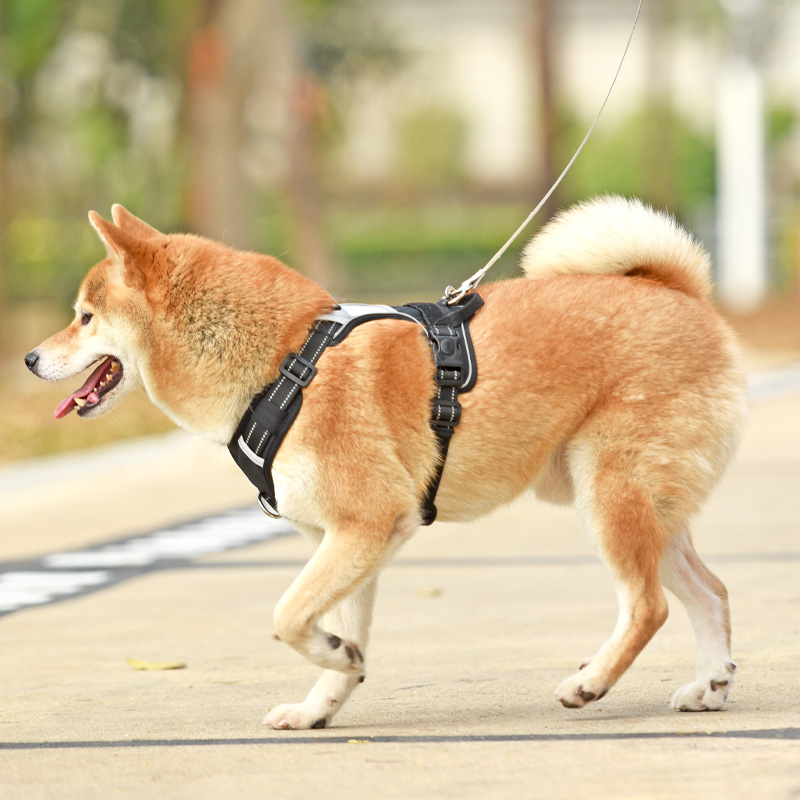 犬 ハーネス シンプル フィット ハーネス