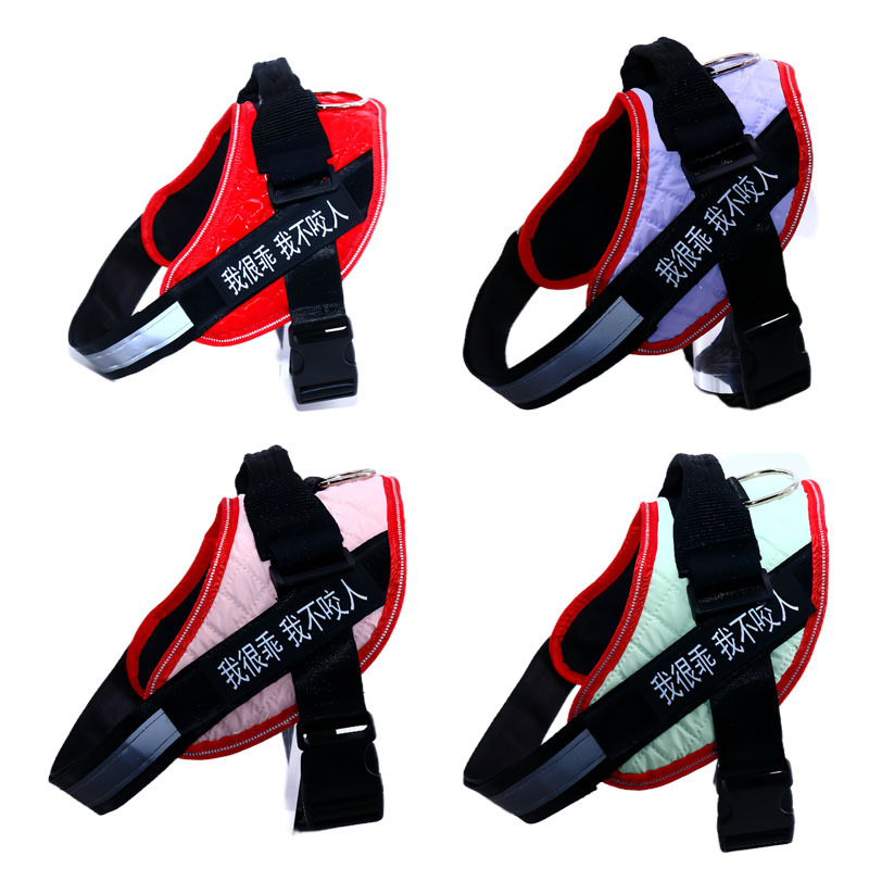 https://fulmo-img-server.com/wonderfulharness/ff9bc090-d89b-4caa-9357-9b42e86e6ff1.jpg