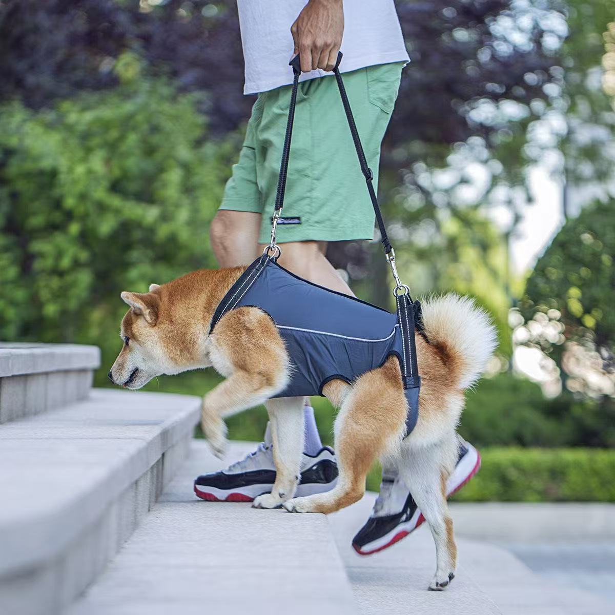 犬 ハーネス 老犬・介護用 らくらくサポートハーネス