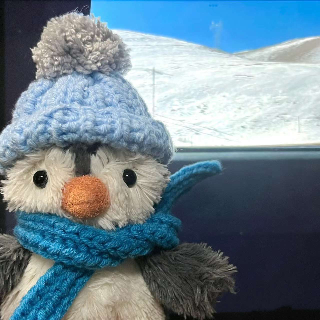 愛らしい表情 ペンギン 癒し ギフト向け くまぬいぐるみ