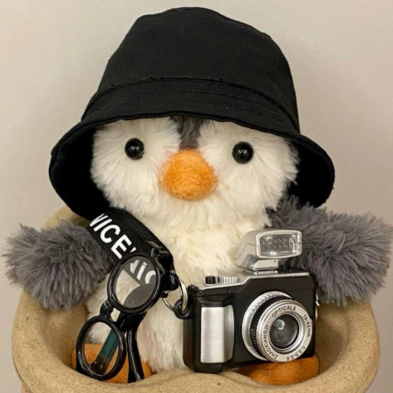 帽子とメガネ ペンギン 癒し ギフト向け くまぬいぐるみ