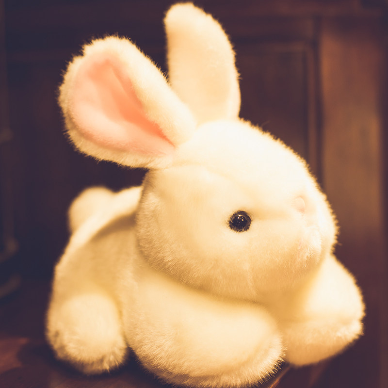 ふかふかの優しい触り心地 癒しのうさぎぬいぐるみ ギフト向け