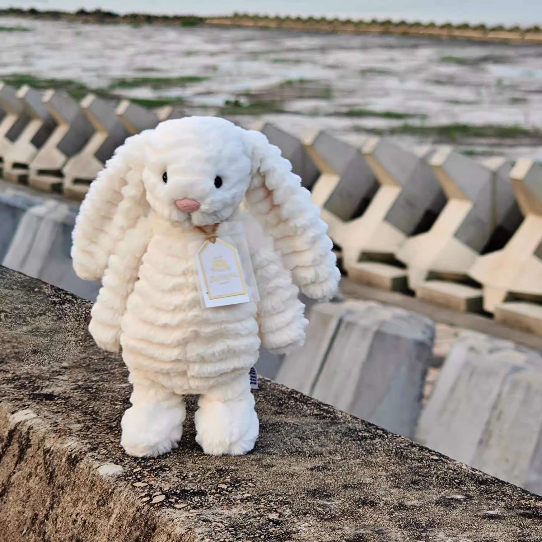 ぬいぐるみ ふわもふ宝石うさぎ