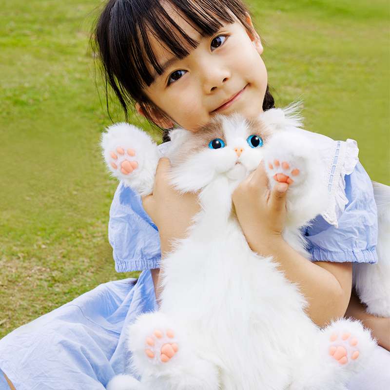 ふわもこ青目の子猫抱っこぬいぐるみ