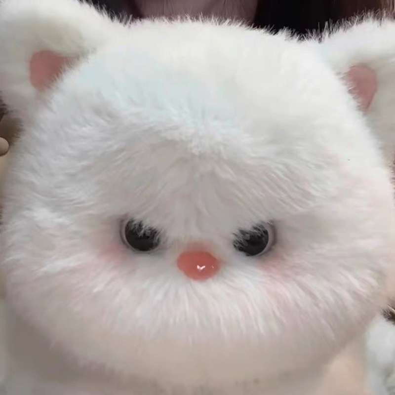 ぬいぐるみ もふもふ天使の抱き猫ちゃん