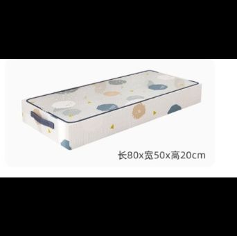 ベッド 下 収納 整理上手な仕切り付き衣装ケース