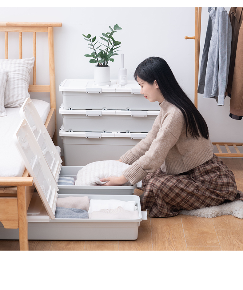 ベッド 下 収納 両開き楽々ベッド下収納ボックス